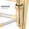 Gold Brass B Flat Tenor Trombone with Smooth Slide, Accessories and Hard Case